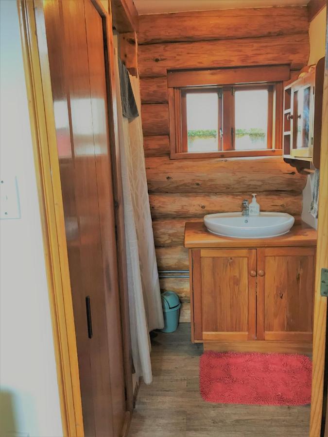 Tree Hut Cottage Masterton Εξωτερικό φωτογραφία