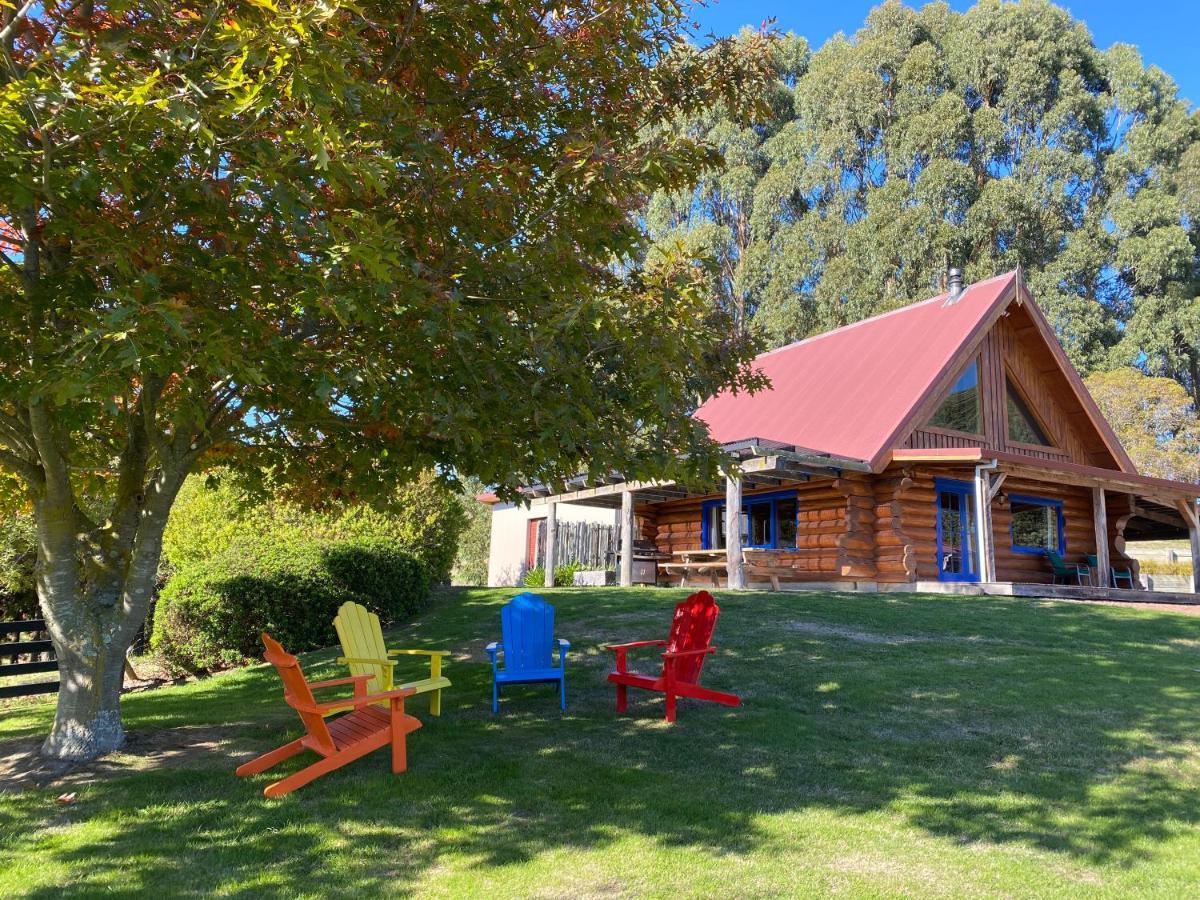 Tree Hut Cottage Masterton Εξωτερικό φωτογραφία