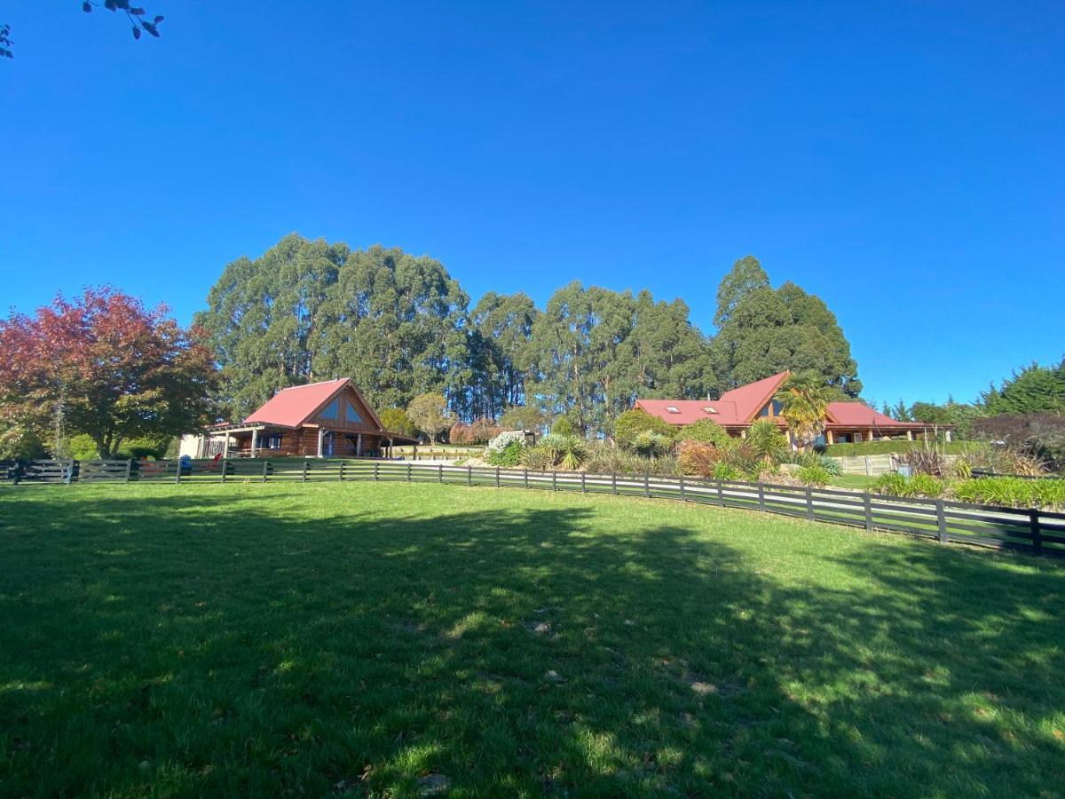 Tree Hut Cottage Masterton Εξωτερικό φωτογραφία